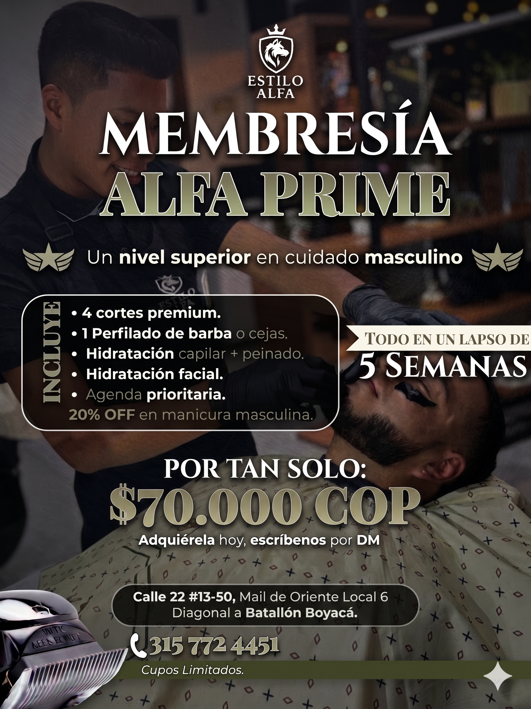 Membresía Estilo Alfa